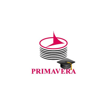 آموزش پروژه محور پریماورا (برنامه‌ریزی پروژه توسط Primavera P6)